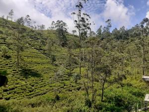 Gallery image of Kanani Hotel & Restaurant in Hatton