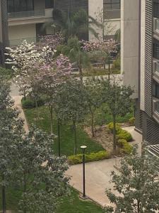 Κήπος έξω από το Madinaty private rooms