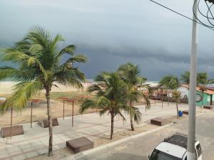 a row of palm trees in a parking lot at Pousada e restaurante paraíso dourado in Barroquinha