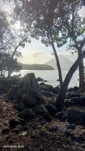 a group of trees and rocks next to a body of water at Cabaña Colibrí Balgue in Altagracia