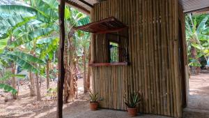Zahrada ubytování Habitaciones Colibrí