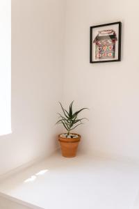 Fotografie z fotogalerie ubytování Pomalo Inn v destinaci Vis