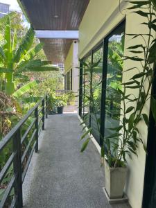 a corridor of a building with plants in it at Nern Khao Guest House in Kamala Beach