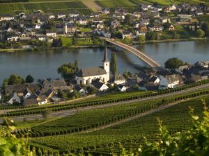 Gallery image of Weingutshotel Piesporter Goldtröpfchen in Piesport +17 photos