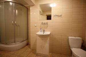 a bathroom with a sink and a shower and a toilet at Ośrodek Wypoczynkowy HEL in Lądek-Zdrój