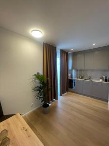 a large kitchen with a potted plant in a room at Hotel Swiss Bellevue Oberwangen in Oberwangen