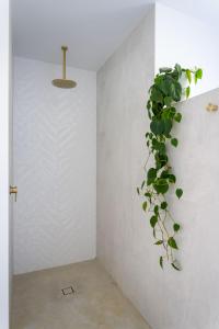 玛格丽特河Treeview Retreat I Private Properties的相册照片