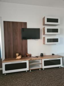 a living room with a flat screen tv on a wall at Danube Home in Ostrovu Corbului