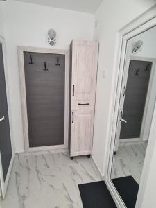 a bathroom with a large mirror and a closet at Danube Home in Ostrovu Corbului +15 photos