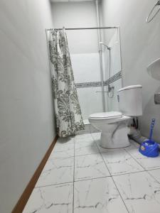 a bathroom with a shower curtain and a toilet at shafranhotel in Tashkent