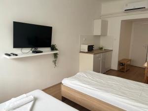 Televízia a/alebo spoločenská miestnosť v ubytovaní Hungaria Apartments