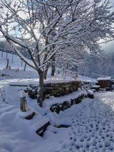 a snow covered yard with a tree and a stone wall at La Lissandra Agriturismo House in Palagano +15 photos