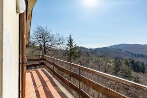 Příroda nedaleko apartmánu + 14 fotografií