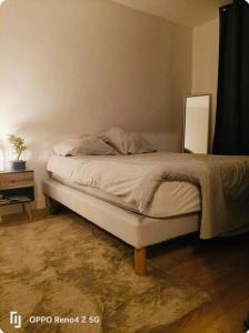 Ένα ή περισσότερα κρεβάτια σε δωμάτιο στο Maison jardin spa a Bordeaux