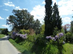 een tuin met paarse bloemen aan de kant van een weg bij Al Vecchio Leccio in Pistoia