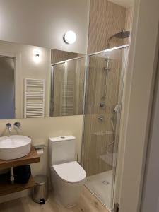 a bathroom with a shower and a toilet and a sink at Hotel Rural Casa del Oso in El Oso