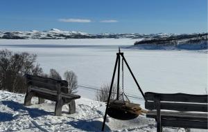 two benches sitting in the snow next to a lake at Awesome Apartment In Rauland in Rauland +9 photos