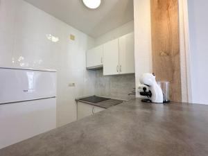 Kuchyň nebo kuchyňský kout v ubytování AH RENTALS Acualandia Apartamento