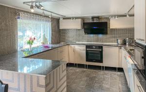 Η κουζίνα ή μικρή κουζίνα στο Pet Friendly Apartment In Harøy