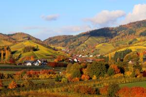 a village in the hills with autumn foliage at Ferienwohnung am Tanzberg in Oberkirch