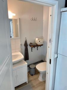 a bathroom with a toilet and a sink at Old Town B&B Ida-Maria in Porvoo +59 photos