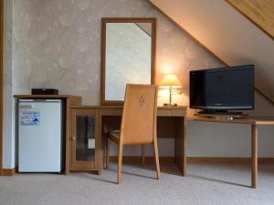 TV a/nebo společenská místnost v ubytování Matsusaka Doggie Paradise Hotel Smeall