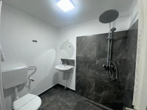 a bathroom with a shower and a toilet and a sink at Casa Lupilor 2 Vidraru in Căpăţîneni-Ungureni +8 photos