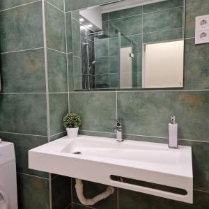 a bathroom with a white sink and a mirror at Central Greatforest Apartman 2 in Debrecen +70 photos