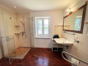 une salle de bains avec douche, lavabo et miroir dans l'établissement Ferienhaus Marie Rodenäs, à Rodenäs