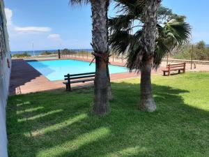 two palm trees in front of a swimming pool at La Manga beach has everything in San Javier