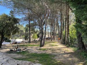 a path in a park with trees and grass at Villa provençale in Châteaurenard +34 photos