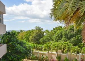 Tranquil Oceanside: Pools & Direct Beach Access外面的花园