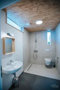 a bathroom with a sink and a toilet at Le Noir Flohay 30 pers - Malmedy, vue, wellness in Malmedy