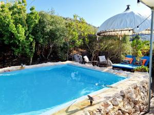 a swimming pool with an umbrella and a bird in it at דארנא בגליל in Lavon