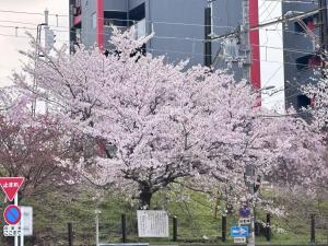 大阪市にある-旅タイム・岸里夏也 - 岸里玉出駅 大型車駐車場ありのギャラリーの写真