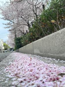 大阪市にある-旅タイム・岸里夏也 - 岸里玉出駅 大型車駐車場ありのギャラリーの写真