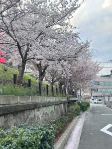 アパートメントがあるエリアまたは近くにあるエリア