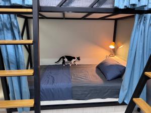 Letto o letti in una camera di Freediving center