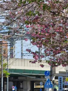 大阪市にある-旅タイム・岸里夏也 - 岸里玉出駅 大型車駐車場ありのギャラリーの写真