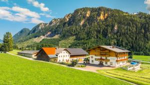 ein Haus auf einem Feld mit einem Berg im Hintergrund in der Unterkunft Hubergut Appartements in Radstadt