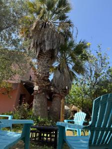 Zahrada ubytování Lovely home 5 min walk to the beach, 3 bedrooms ample outdoor relax and WIFI