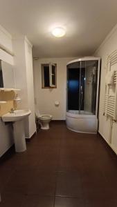 a bathroom with a shower and a toilet and a sink at Casa Rosa in Piatra Neamţ +46 photos