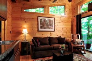 Χώρος καθιστικού στο Tree House-Style Luxury Cabin in the Blue Ridge Mountains, North Carolina