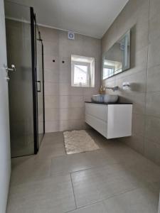 a bathroom with a sink and a mirror at Livada in Ljubljana