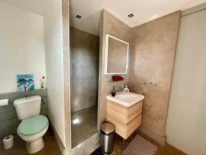 a small bathroom with a toilet and a sink at Le Mazet Chambre d'Hôtes in Mauguio +68 photos