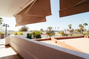 a view from the roof of a building with palm trees at Ocean Nomads Coworking in Arona