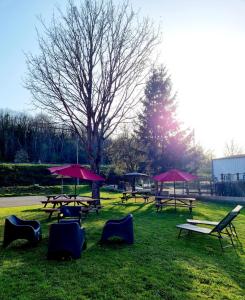 Zahrada ubytování Hôtel Enzo GREEN "Coudes,Issoire,Clermont"