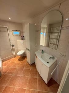 a bathroom with a sink and a toilet and a mirror at Ruim Chalet Luxe 28 in Ledeacker