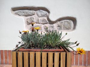 Zahrada ubytování B&B Monte Adone