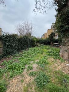 a garden with green plants on the ground at Alin Duna in London